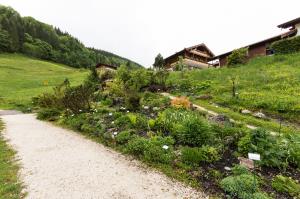 20190520_0051_Exkursion_Ramsau_Kräutergarten_KLF