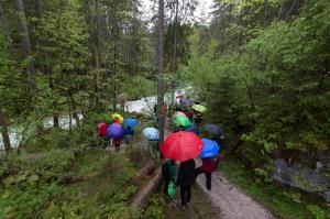 20190520_0075_Exkursion_Ramsau_Zauberwald_KLF