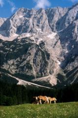 Jezersko_4
