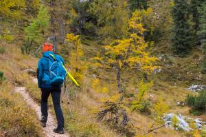 20191010_0208_Wachterlsteig_KLF