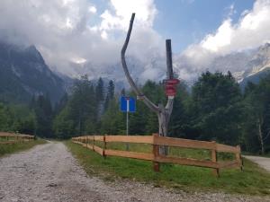 ograja_ravenska_kocna