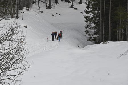 20220128_3414_Turnosmucarskotekmovanje_Jezersko_KLF