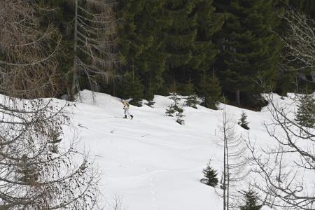 20220128_3430_Turnosmucarskotekmovanje_Jezersko_KLF