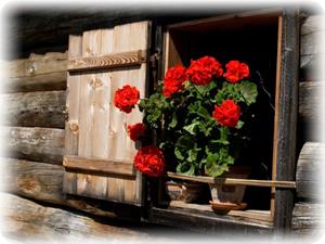 Turistično društvo