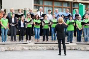 tedennezavtzene41401706