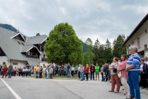 tedennezavtzene41561706